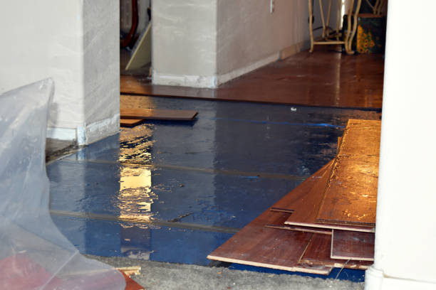 Professional Basement Flooding technician working in Gibsonville, NC